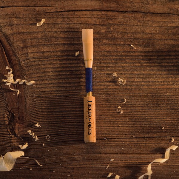 Oboe reeds from the Pro of the Munich Philharmonic Orchestra at