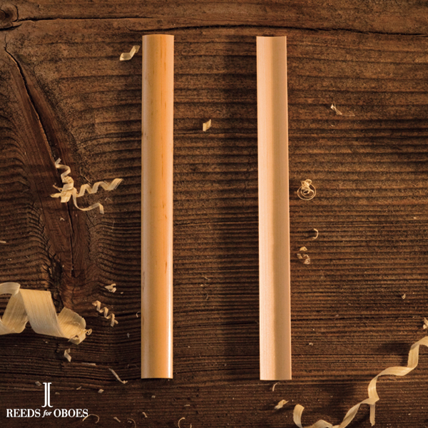 englisch horn gouged cane "hard" 