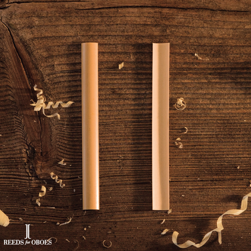 gouged cane for oboe "medium" (hardness 13-16)