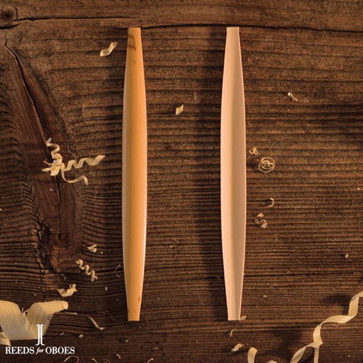 shaped cane for English Horn "hard"